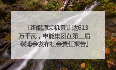 新能源装机累计达613万千瓦，申能集团在第三届碳博会发布社会责任报告