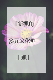 新视角 多元文化壁上观