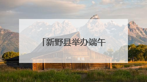 新野县举办端午主题实践活动助力青少年成长