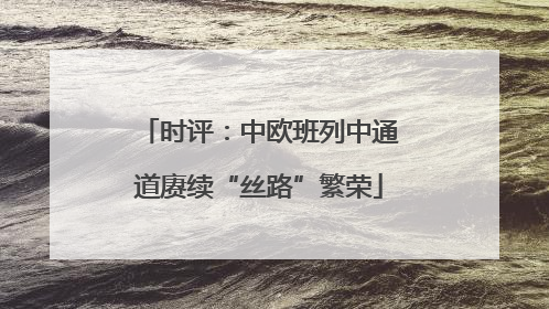 时评：中欧班列中通道赓续“丝路”繁荣