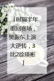 时隔半年重回赛场，樊振东上演大逆转，3比2徐瑛彬