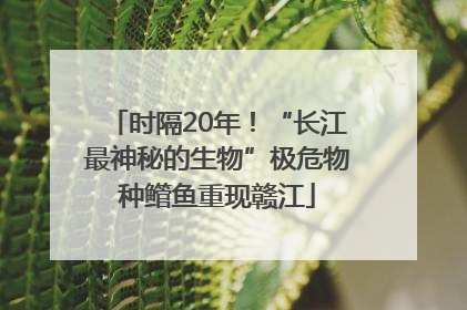 时隔20年！“长江最神秘的生物”极危物种鳤鱼重现赣江
