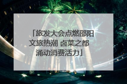 旅发大会点燃邵阳文旅热潮 卤菜之都涌动消费活力