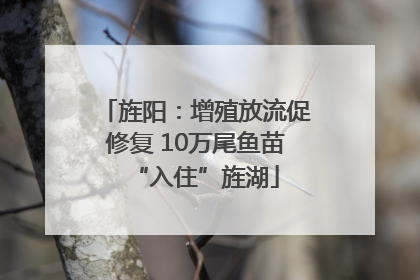 旌阳：增殖放流促修复 10万尾鱼苗“入住”旌湖
