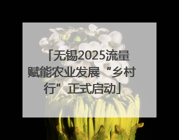 无锡2025流量赋能农业发展“乡村行”正式启动