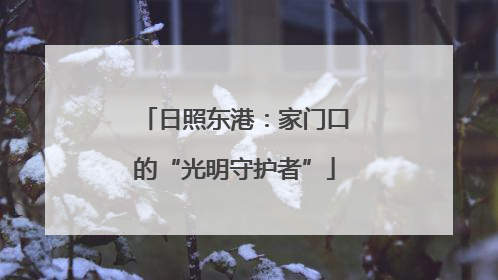 日照东港：家门口的“光明守护者”