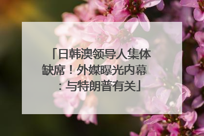 日韩澳领导人集体缺席！外媒曝光内幕：与特朗普有关