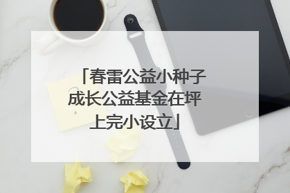 春雷公益小种子成长公益基金在坪上完小设立
