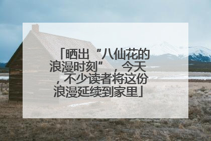 晒出“八仙花的浪漫时刻”，今天，不少读者将这份浪漫延续到家里