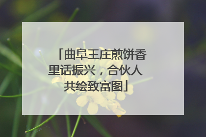 曲阜王庄煎饼香里话振兴，合伙人共绘致富图