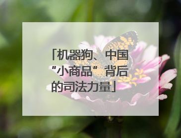 机器狗、中国“小商品”背后的司法力量