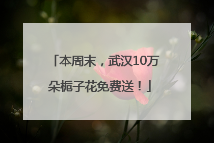 本周末，武汉10万朵栀子花免费送！