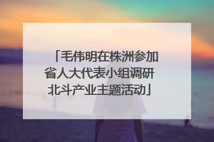毛伟明在株洲参加省人大代表小组调研北斗产业主题活动