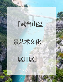 武当山盆景艺术文化展开展