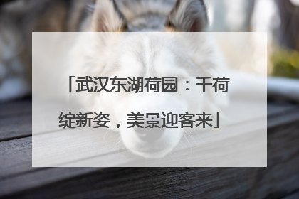 武汉东湖荷园：千荷绽新姿，美景迎客来