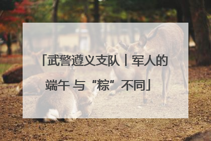 武警遵义支队︱军人的端午 与“粽”不同