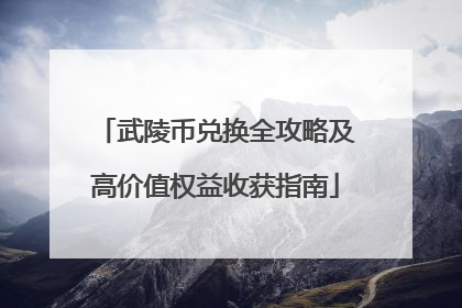 武陵币兑换全攻略及高价值权益收获指南