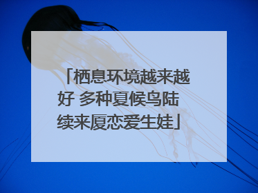 栖息环境越来越好 多种夏候鸟陆续来厦恋爱生娃