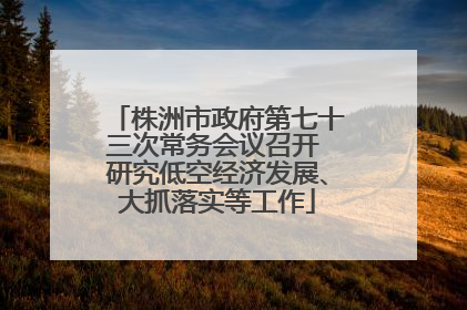 株洲市政府第七十三次常务会议召开 研究低空经济发展、大抓落实等工作