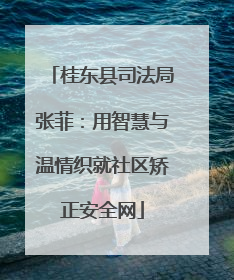 桂东县司法局张菲：用智慧与温情织就社区矫正安全网