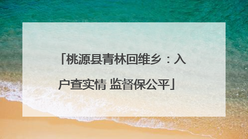 桃源县青林回维乡：入户查实情 监督保公平