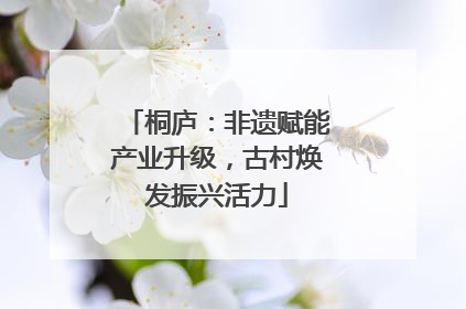 桐庐：非遗赋能产业升级，古村焕发振兴活力