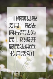 桦南县税务局：税法同行普法为民，积极开展民法典宣传月活动