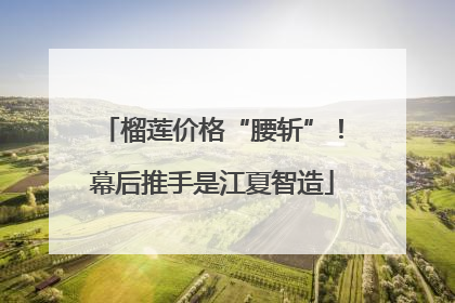 榴莲价格“腰斩”！幕后推手是江夏智造