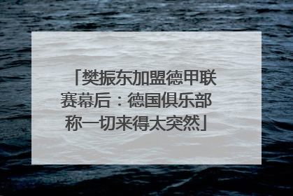 樊振东加盟德甲联赛幕后：德国俱乐部称一切来得太突然