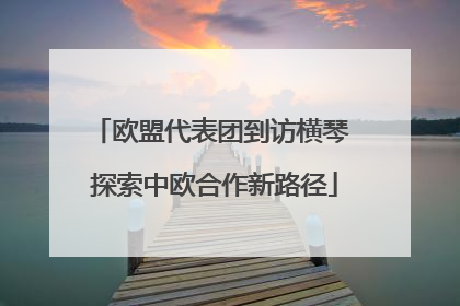 欧盟代表团到访横琴 探索中欧合作新路径