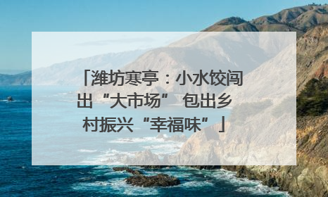 潍坊寒亭：小水饺闯出“大市场” 包出乡村振兴“幸福味”
