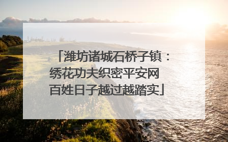 潍坊诸城石桥子镇：绣花功夫织密平安网 百姓日子越过越踏实