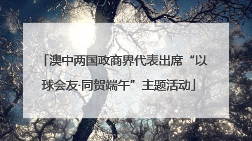 澳中两国政商界代表出席“以球会友·同贺端午”主题活动