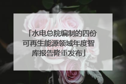 水电总院编制的四份可再生能源领域年度智库报告隆重发布