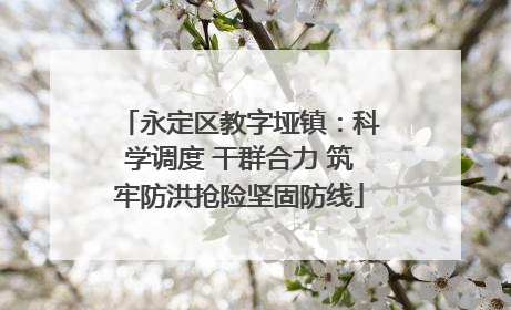 永定区教字垭镇：科学调度 干群合力 筑牢防洪抢险坚固防线