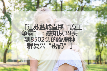 江苏盐城直播“鹿王争霸”：感知从39头到8502头的麋鹿种群复兴“密码”
