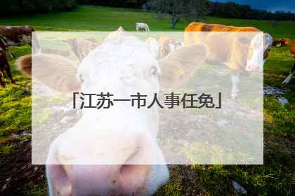 江苏一市人事任免