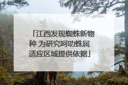 江西发现蜘蛛新物种 为研究呵叻蛛属适应区域提供依据