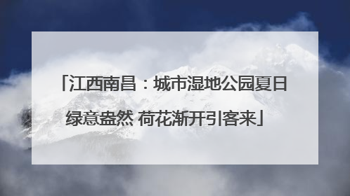江西南昌：城市湿地公园夏日绿意盎然 荷花渐开引客来