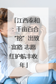 江西泰和：千亩百合“挖”出致富路 志愿红护航丰收年
