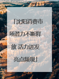 沈阳消费市场潜力不断释放 活力迸发亮点频现