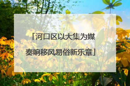 河口区以大集为媒 奏响移风易俗新乐章