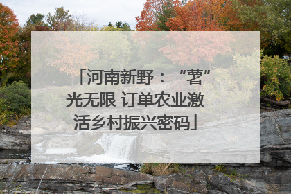 河南新野：“薯”光无限 订单农业激活乡村振兴密码
