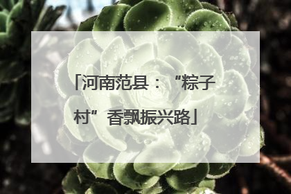 河南范县：“粽子村”香飘振兴路