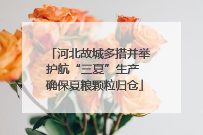 河北故城多措并举护航“三夏”生产 确保夏粮颗粒归仓