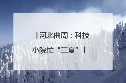 河北曲周：科技小院忙“三夏”