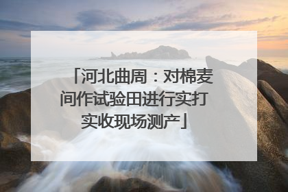 河北曲周：对棉麦间作试验田进行实打实收现场测产