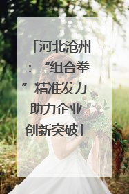 河北沧州：“组合拳”精准发力 助力企业创新突破
