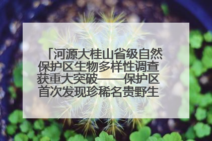 河源大桂山省级自然保护区生物多样性调查获重大突破——保护区首次发现珍稀名贵野生干巴菌与钝尾两头蛇