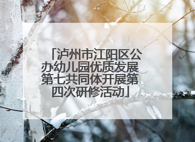 泸州市江阳区公办幼儿园优质发展第七共同体开展第四次研修活动